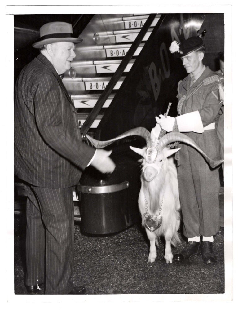 "BAA" IN REPLY TO "BYE" - An original 11 December 1953 press photograph of...